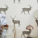 The Peak Hostal *
